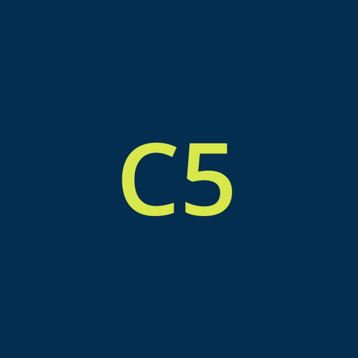 Certificate placeholder 05 — replace with the official certificate